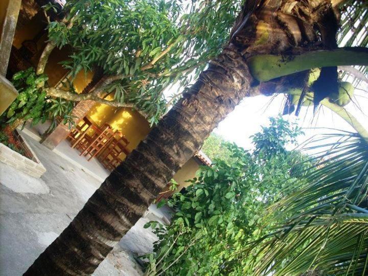 Pousada Agua De Coco Prado Εξωτερικό φωτογραφία